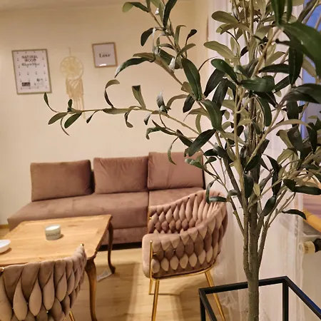 Magvel シュチェチン