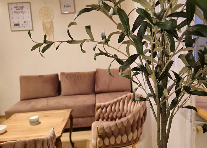 Magvel シュチェチン